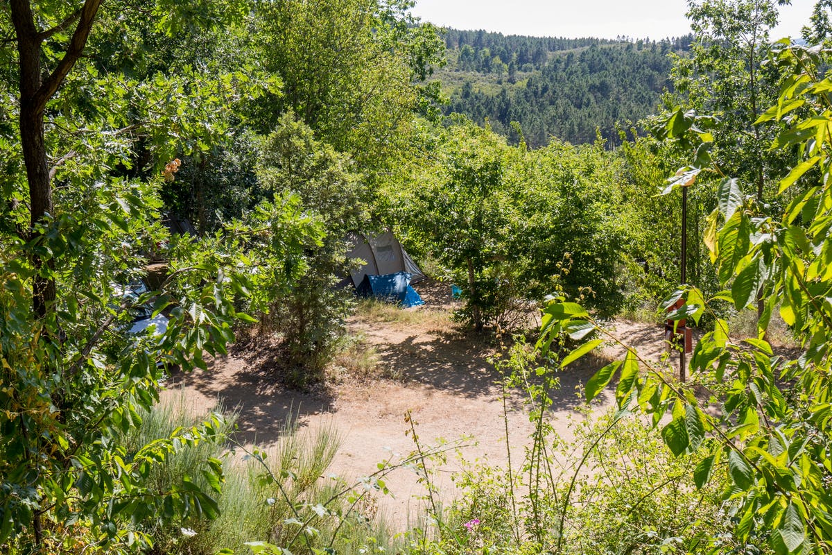 Wildromantisch campen: 20 naturnahe Traum-Campingplätze in Deutschland und Europa 6 Camping Cepo Verde Blick auf die Stellplaetze im Gruenen