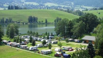 Camping Hund Oesterreich See Putterersee