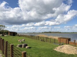 Tiere am Sandager Naes Camping Süddänemark