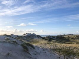 Dünen am Vejers Strand beim Camping Süddänemark