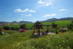 VanLife Yoga Aussicht Andalusien