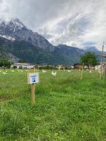 Stellplatz für Camper von Swiss Hosts