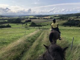 Ausreiten beim Camping mit Pferd