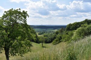 Eine Wiese mit Streuobst auf der Campingtour durch Frankenhöhe (c) Bayern-erleben Florian-Trykowski