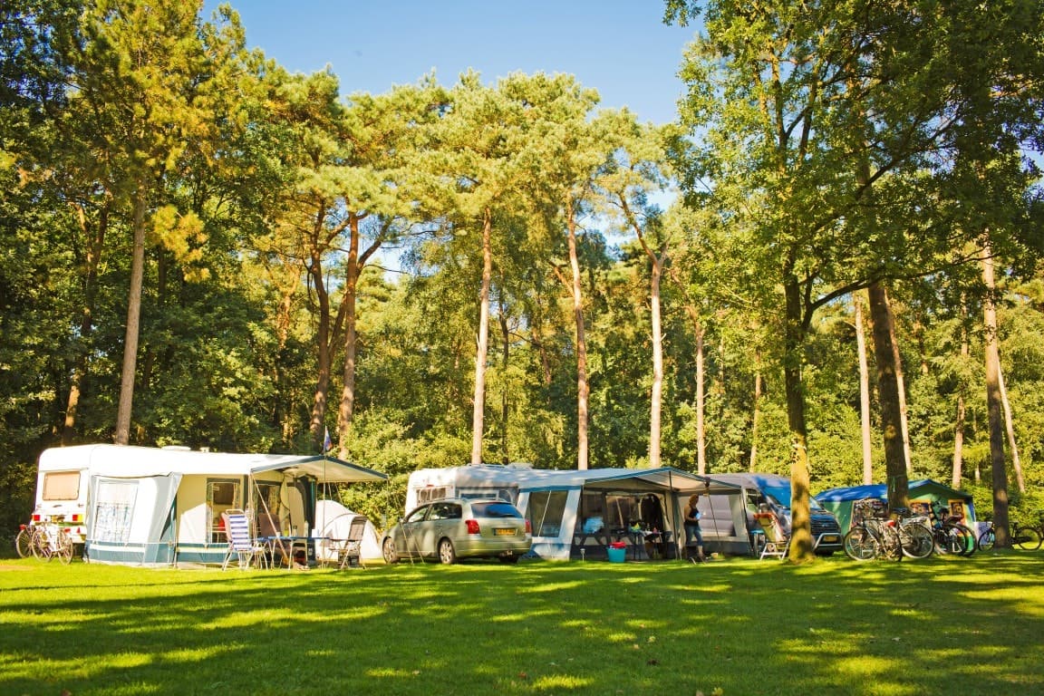 heizstrahler camping GO SYSTEM Heizlfter Gas Heizstrahler Camping Vor Zelt Heizung Keramik