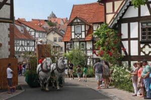 Fachwerkhäuser in Vogelsberg