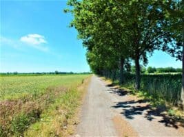 Entspannung Natur Altmark C StadtarchivKalbe