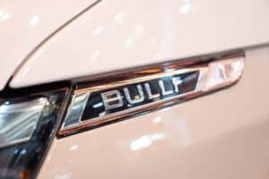 Weinsberg X-Cursion Van Bulli Schriftzug