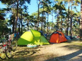 Camping auf Usedom – die Sonneninsel für die ganze Familie 11 Campingplatz Trassenheide Zelten