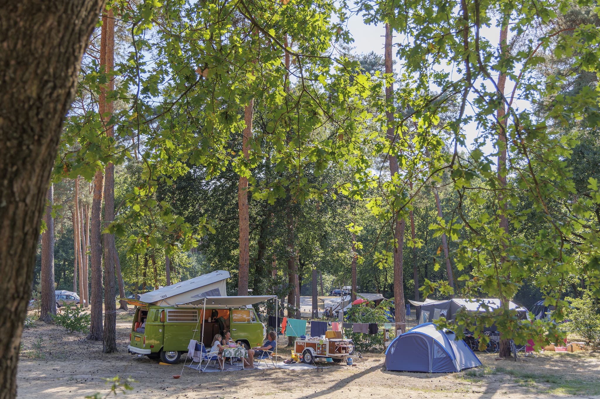 Huttopia de Meinweg Stellplatz ©Huttopia 1.jpg 1