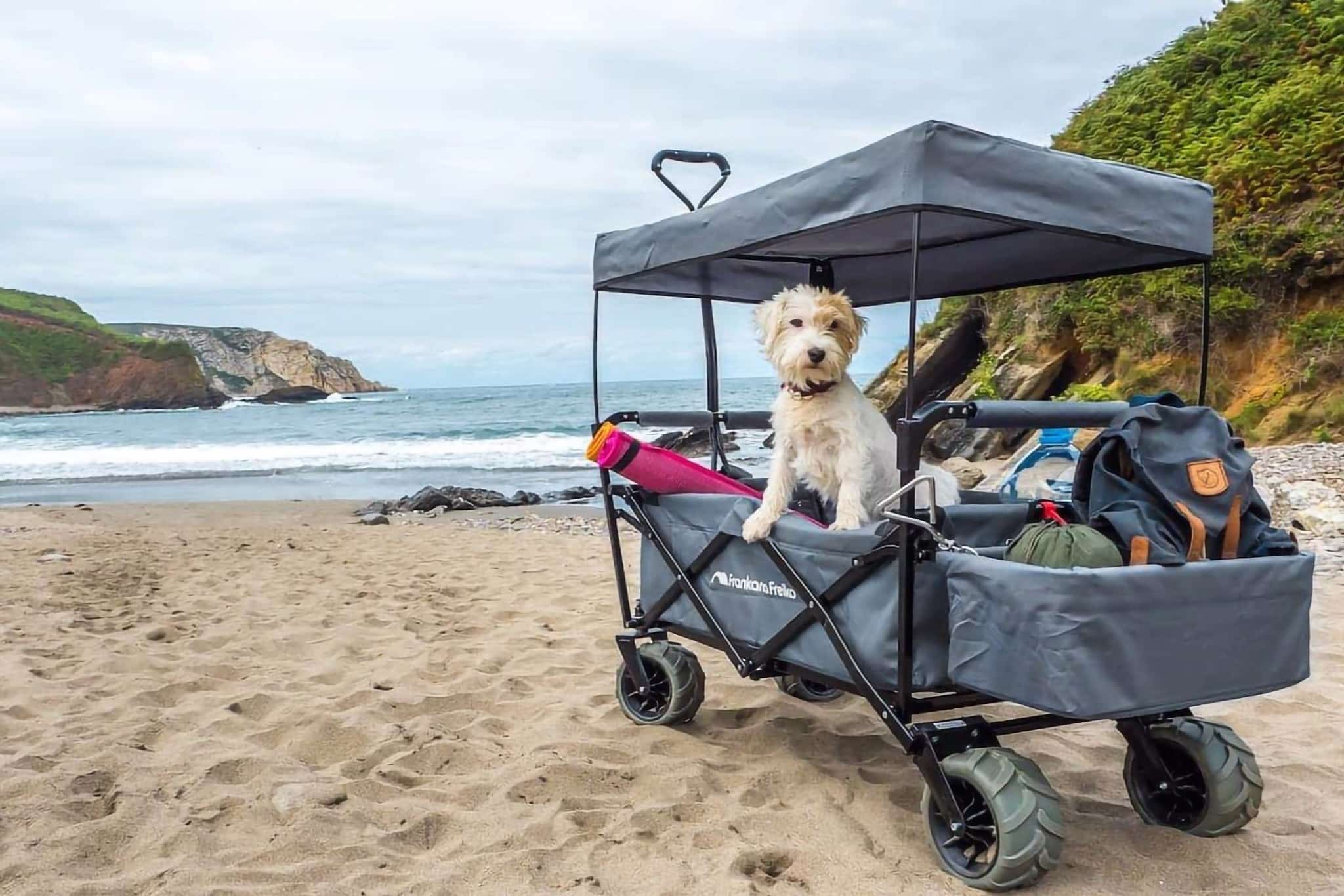 Camping mit Hund: Nützliches Zubehör für Vierbeiner auf Reisen
