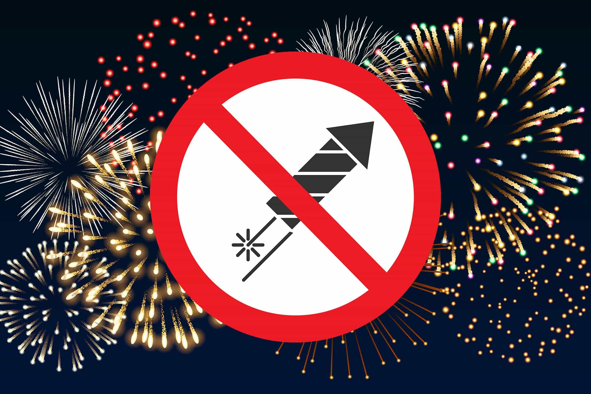 Silvester mit Hund: Böllerfreie Campingplätze und Tipps für weniger Stress