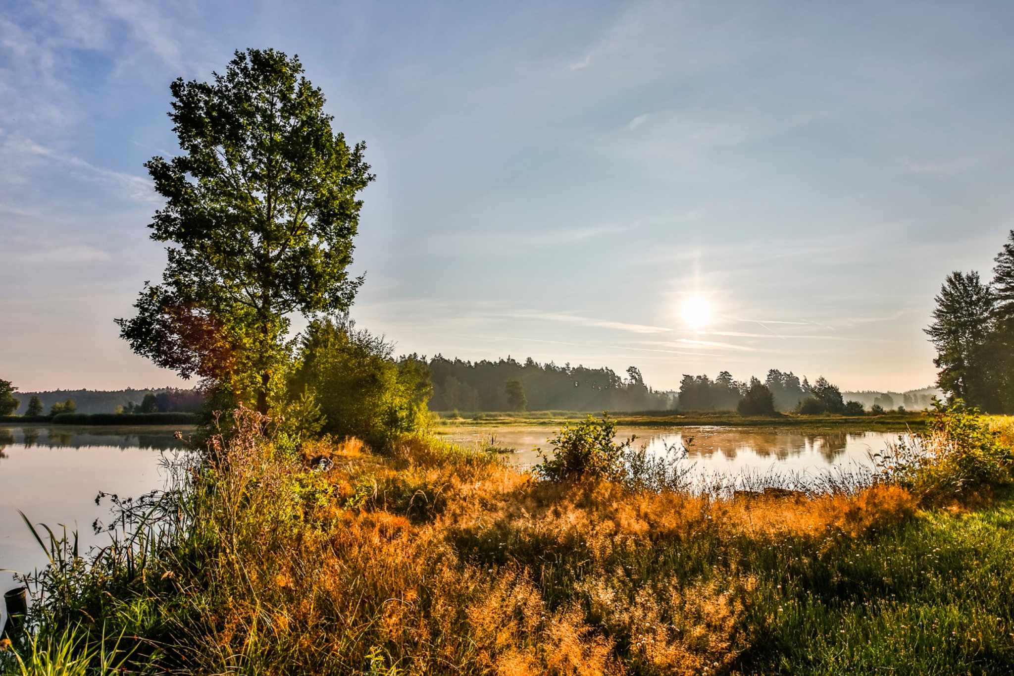 Geheimtripps Deutschland – Das Stiftland mit dem Wohnmobil entdecken 1 Geheimtipps Deutschland Stiftland Morgenstimmung in der Teichlandschaft