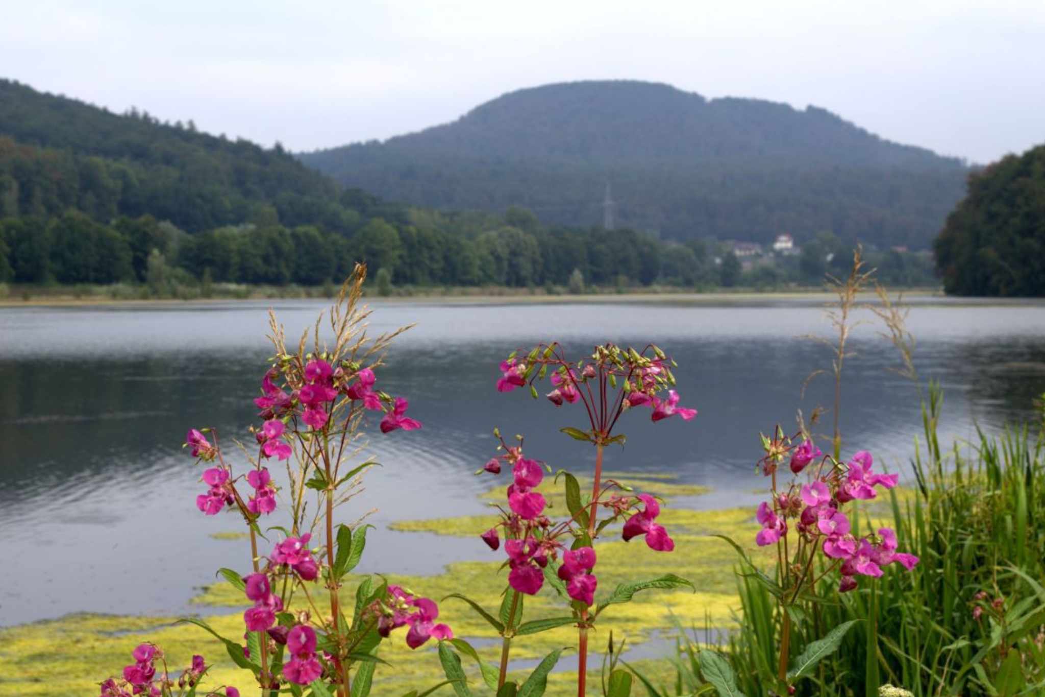 Lipper Land Campingtour - Blick auf den See und die Hügellandschaft