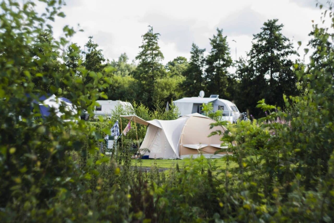 Natuurlijk de Veenhoop Zelt und Stellplatzwiese auf dem Campingplatz a14ac010 a366 4a15 acab a1b73a179096