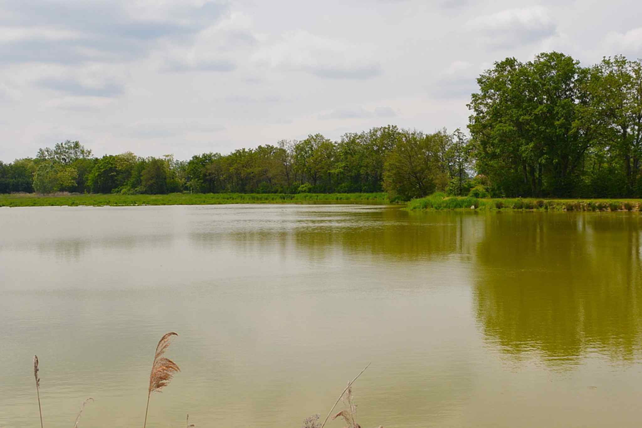 Wohnmobil Reisebericht Dombes-Route - Wasser, wohin das Auge blickt: die Dombes © Hubert Hunscheidt