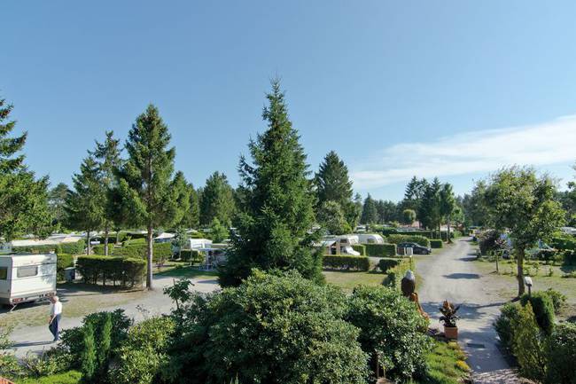 Campingplatz "Auf dem Simpel"