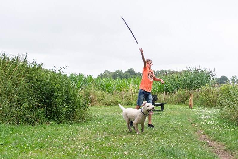 Camping De Pallegarste Hundeplatz mit Hundedusche