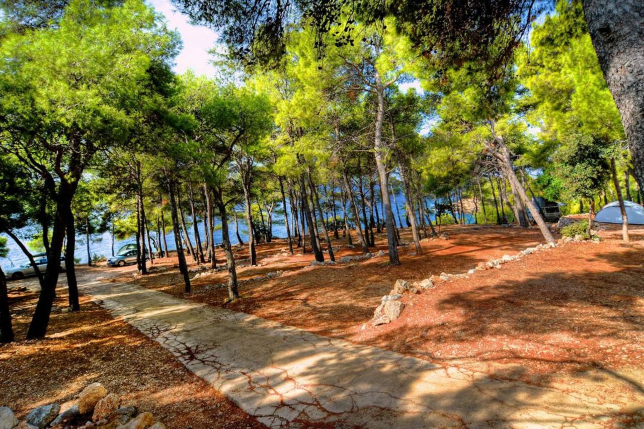 Campingplätze Dalmatien - Ein wunderschöner Platz mitten in den Pinienwäldern und direkt am Meer. © camping.info