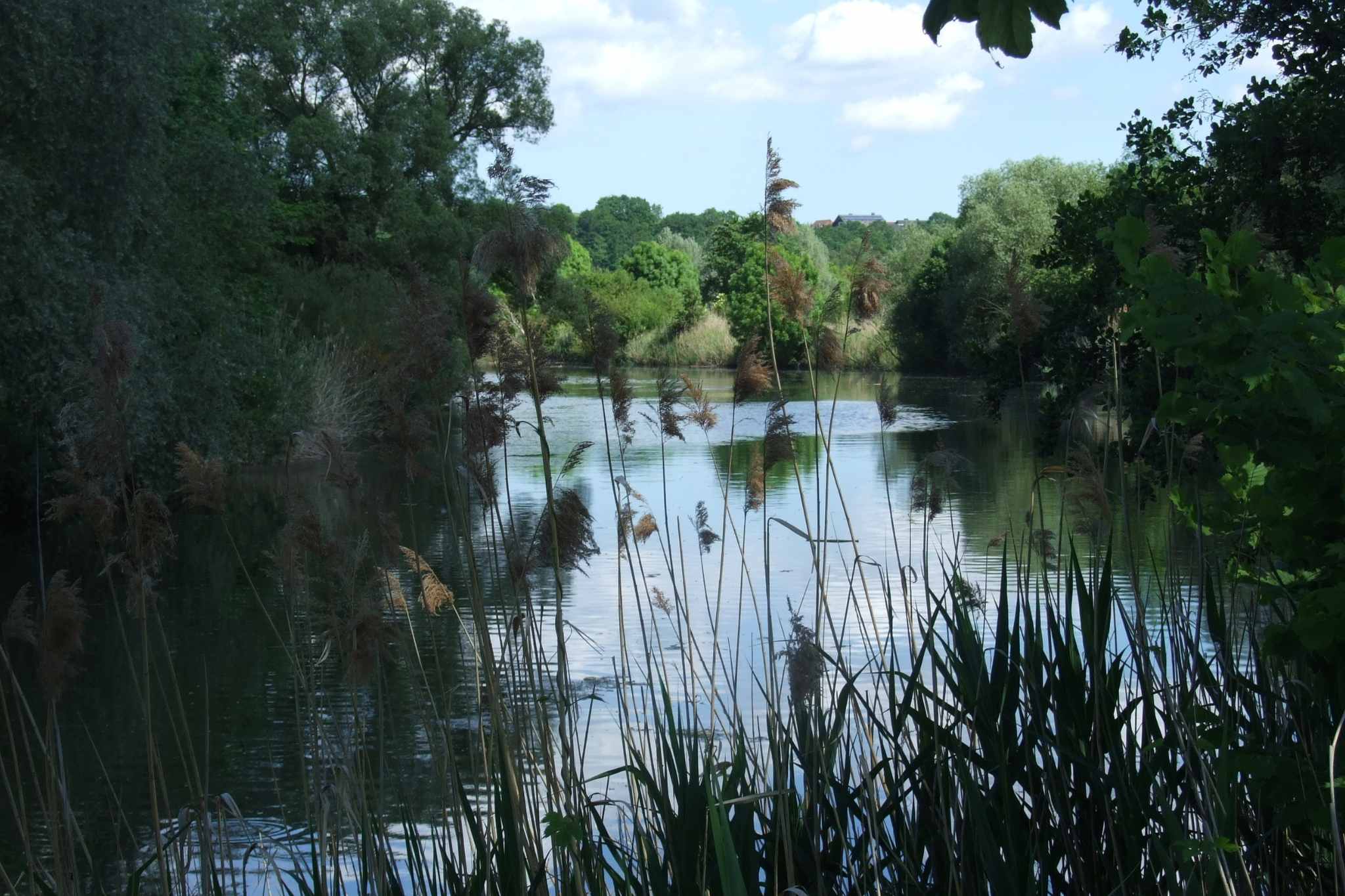 Fulda-Werra-Bergland Natur