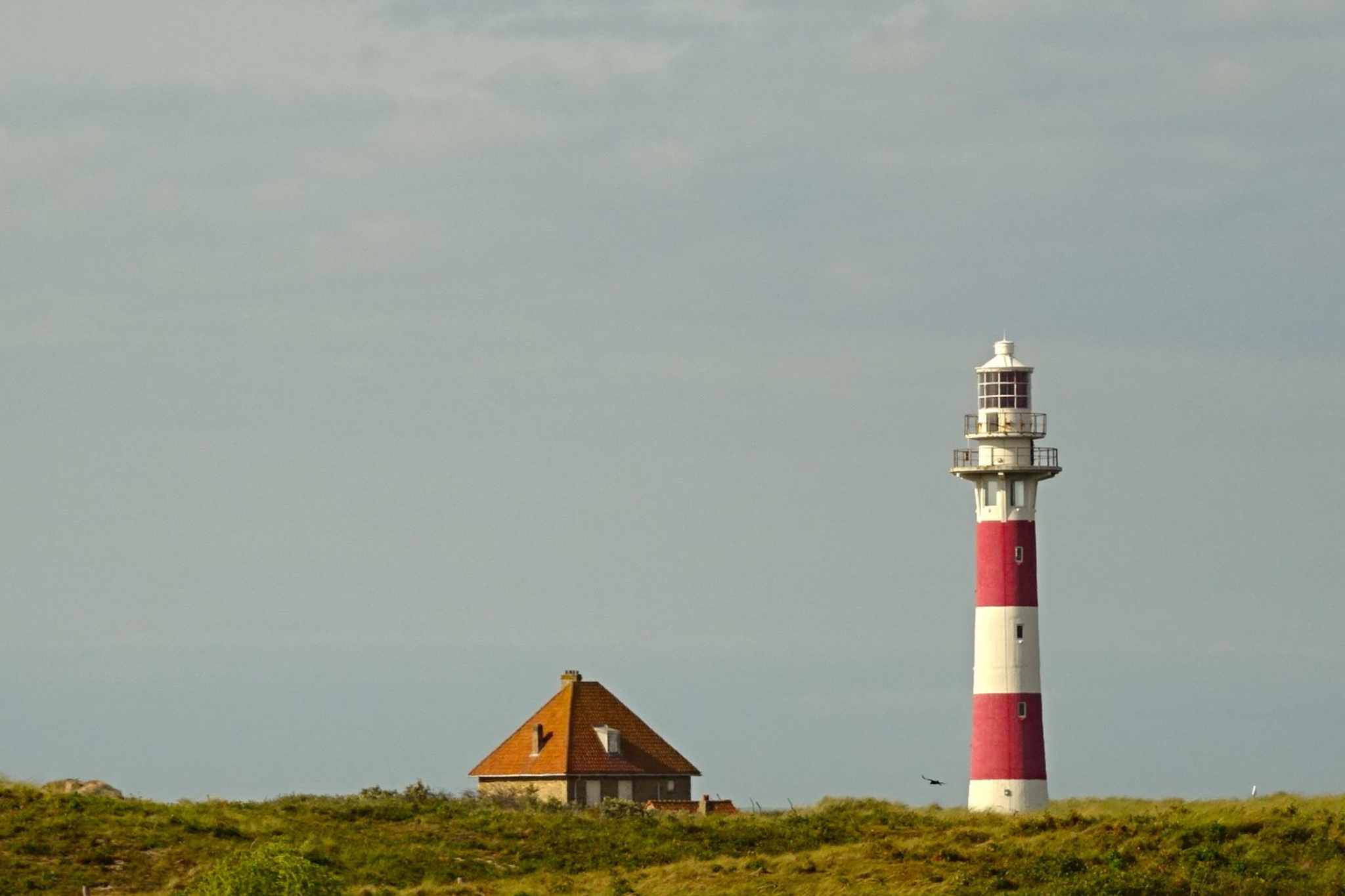 Camping in Belgien: Das musst du wissen!