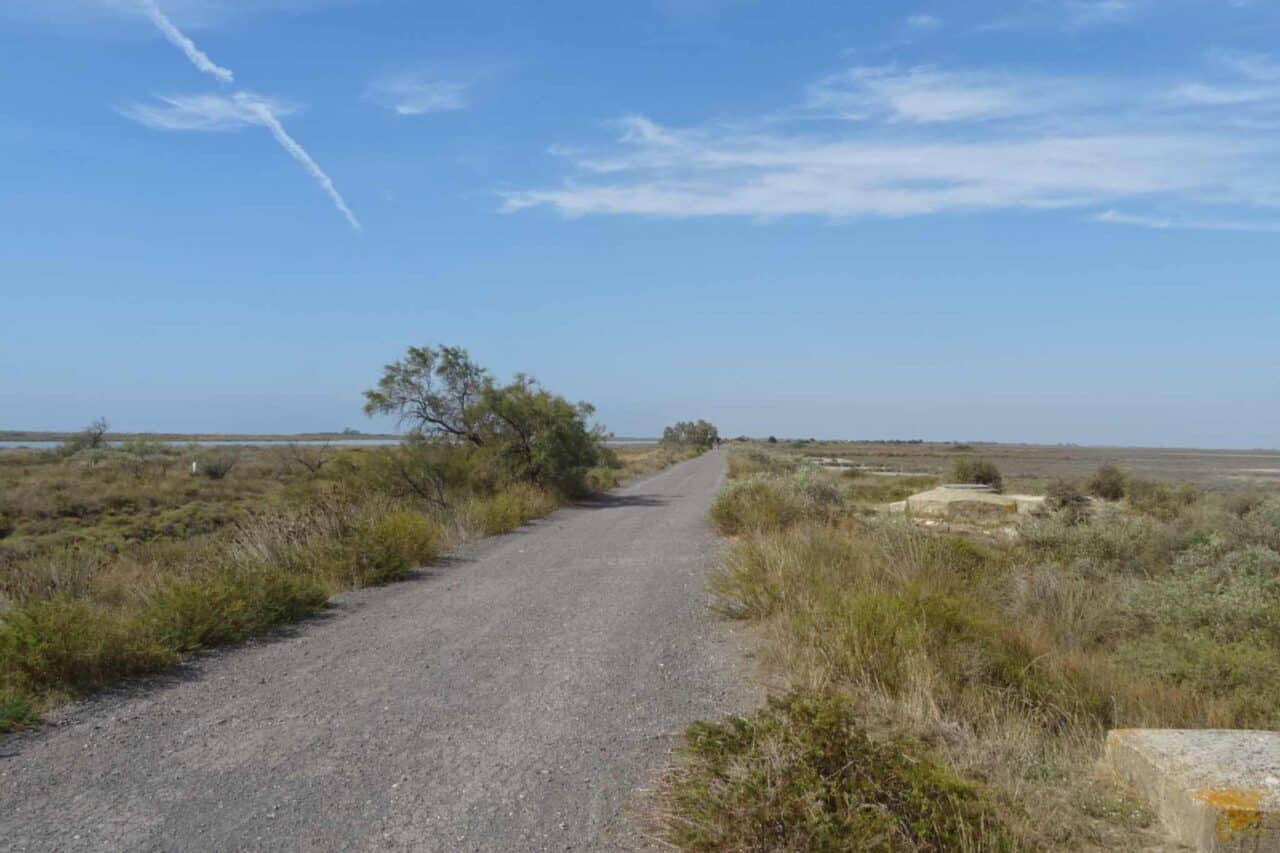 Camargue Camping - Radtour