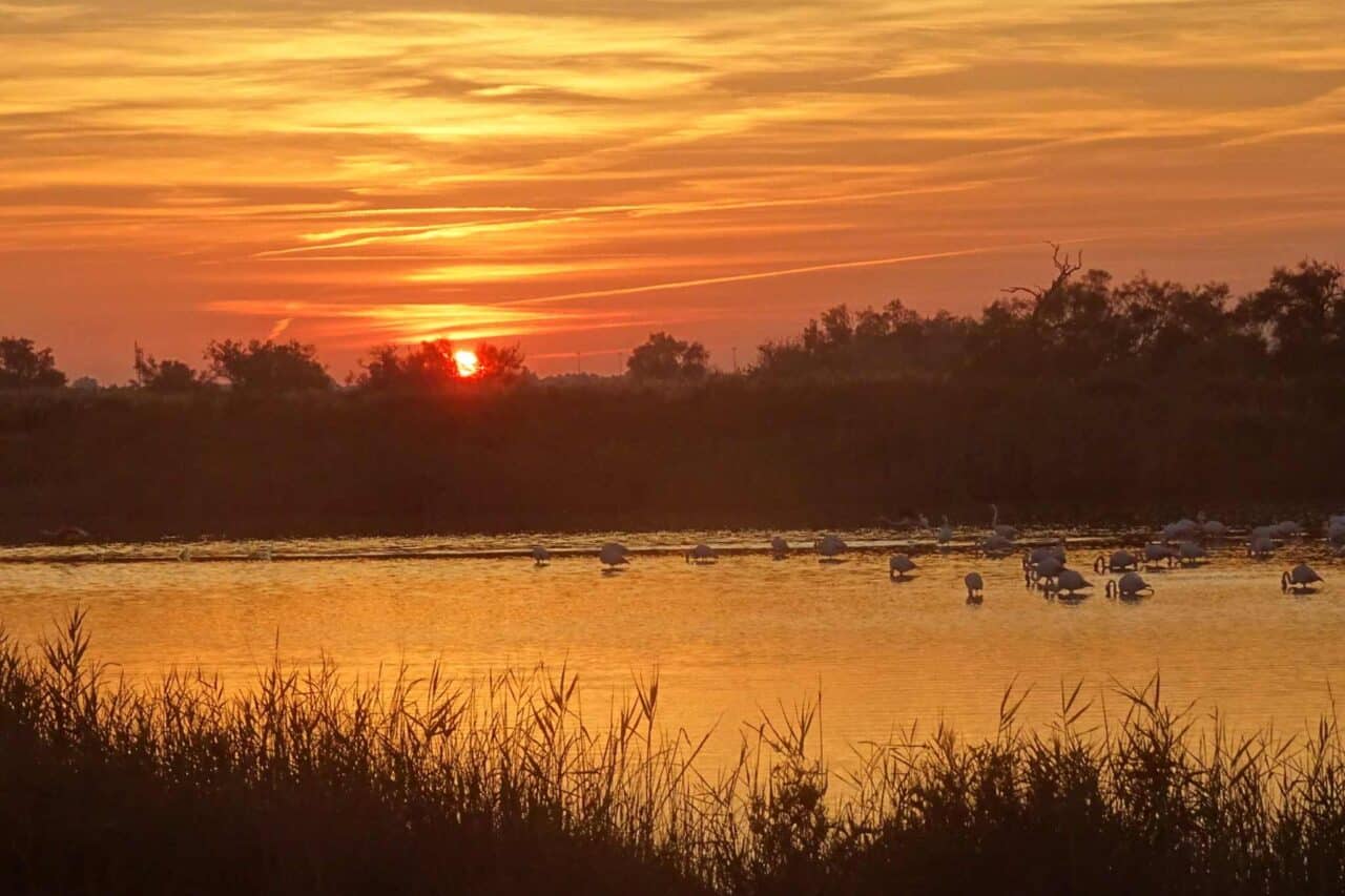Camargue Camping - Sonnenuntergang