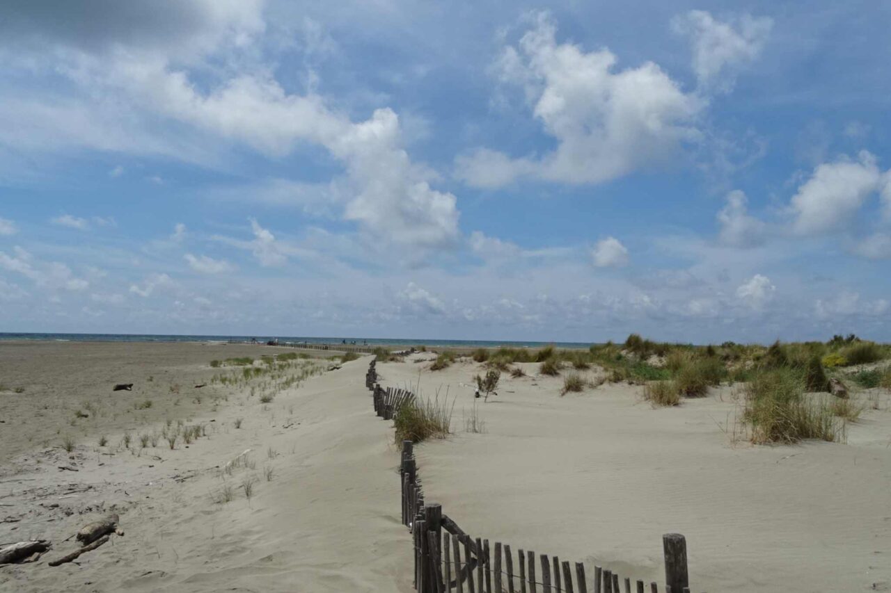 Camargue Camping - Strand