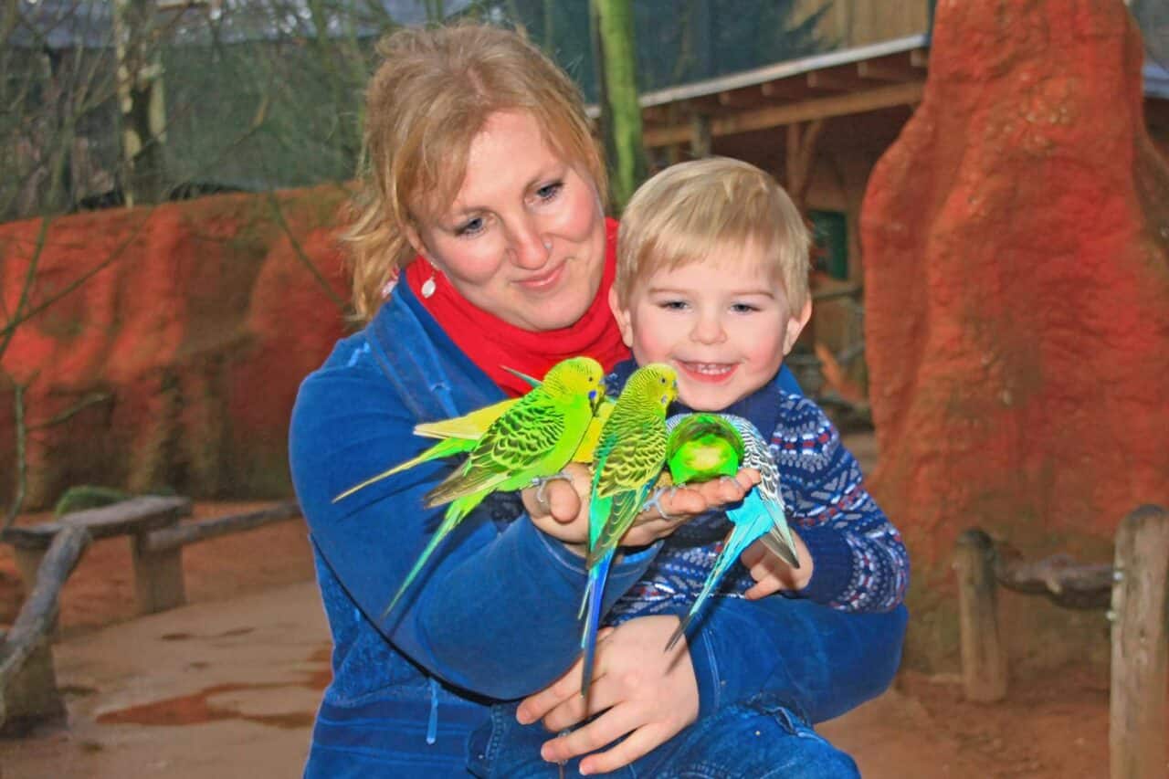 Camping Safariparks Vogelpark