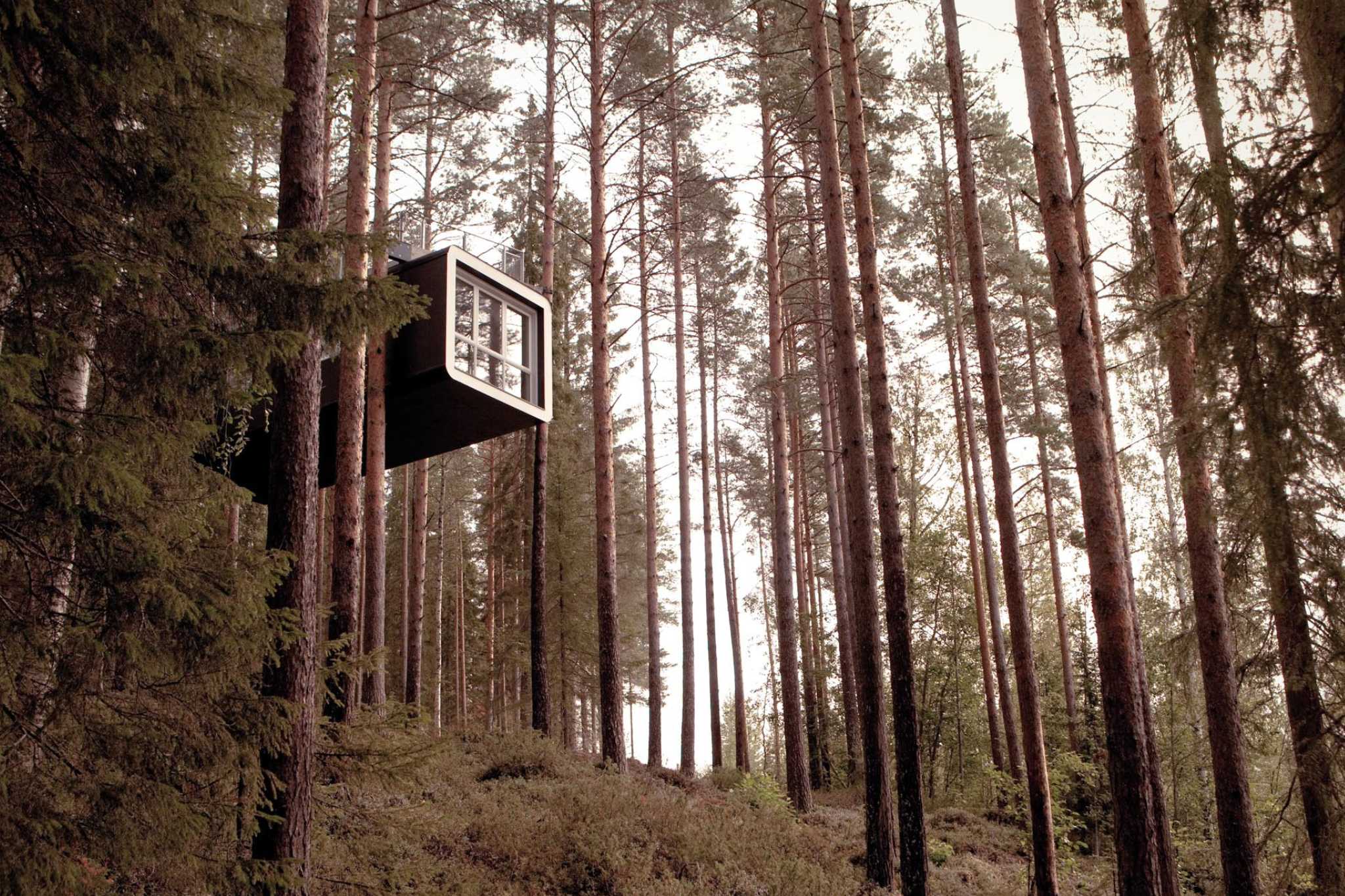 Camping mal anders: Baumkugel, Glasiglu, Kapselhotel & Co.
