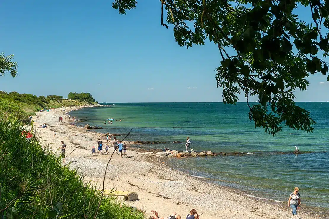 Traumurlaub am Horizont: Entdecke die 3 paradiesischen Campingplätze auf Fehmarn für unvergessliche Momente 2 katharinenhof ostsee