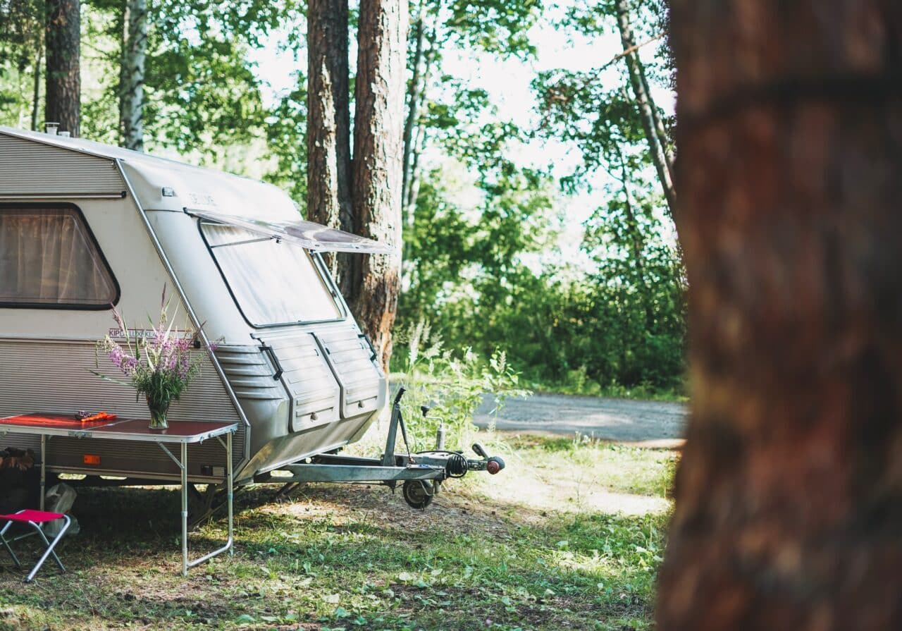 Wohnwagen Wald Blumen Tisch