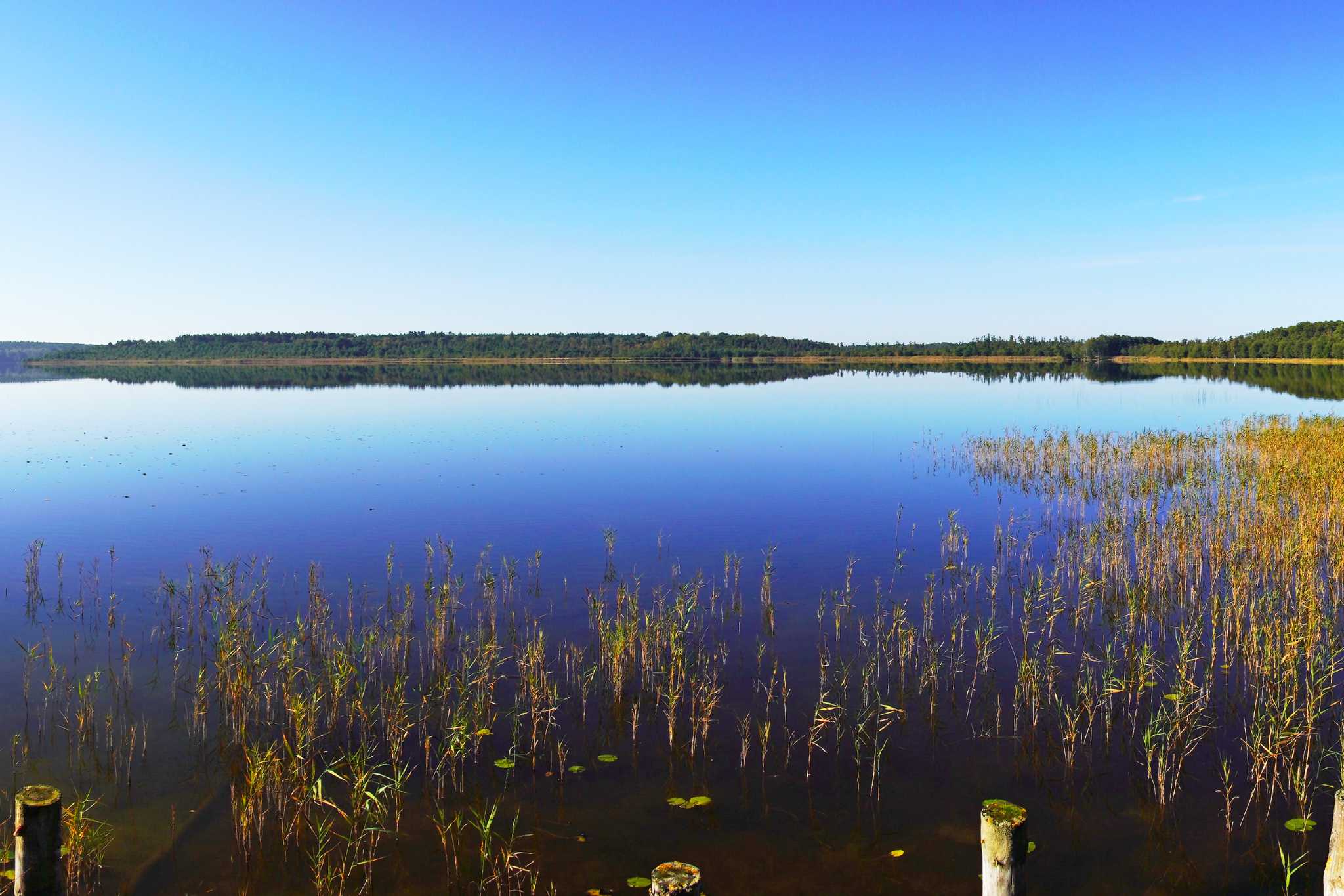 Entdecke das Paradies: Camping an der Mecklenburgischen Seenplatte