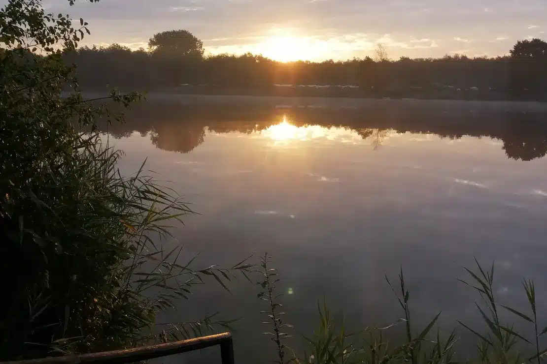 Die 3 schönsten Plätze: FKK-Camping erobert Deutschland und Österreich 1 naturcamp sonnensee