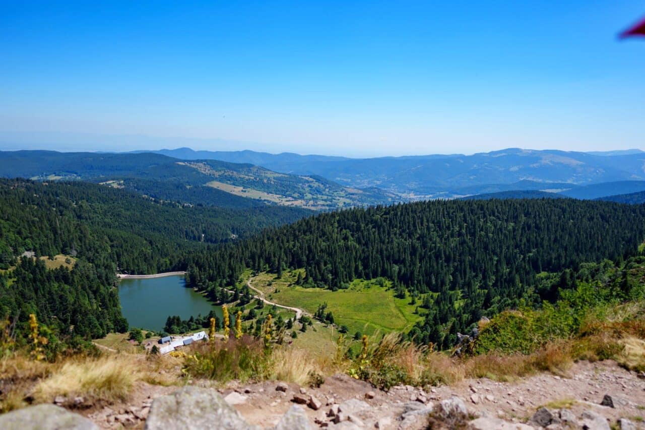 Camping im Elsass Naturvielfalt