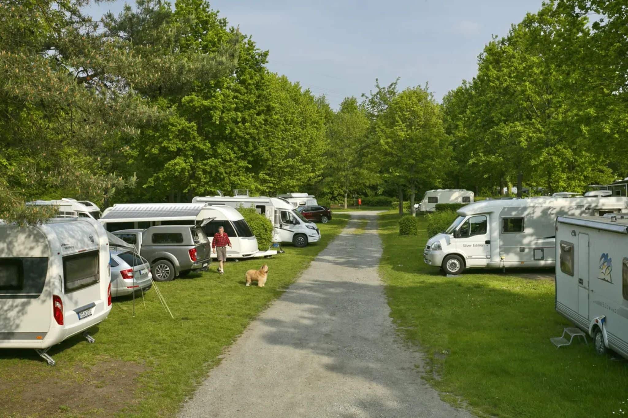 Wunderschone 3dog Camping Hamburg Bilder