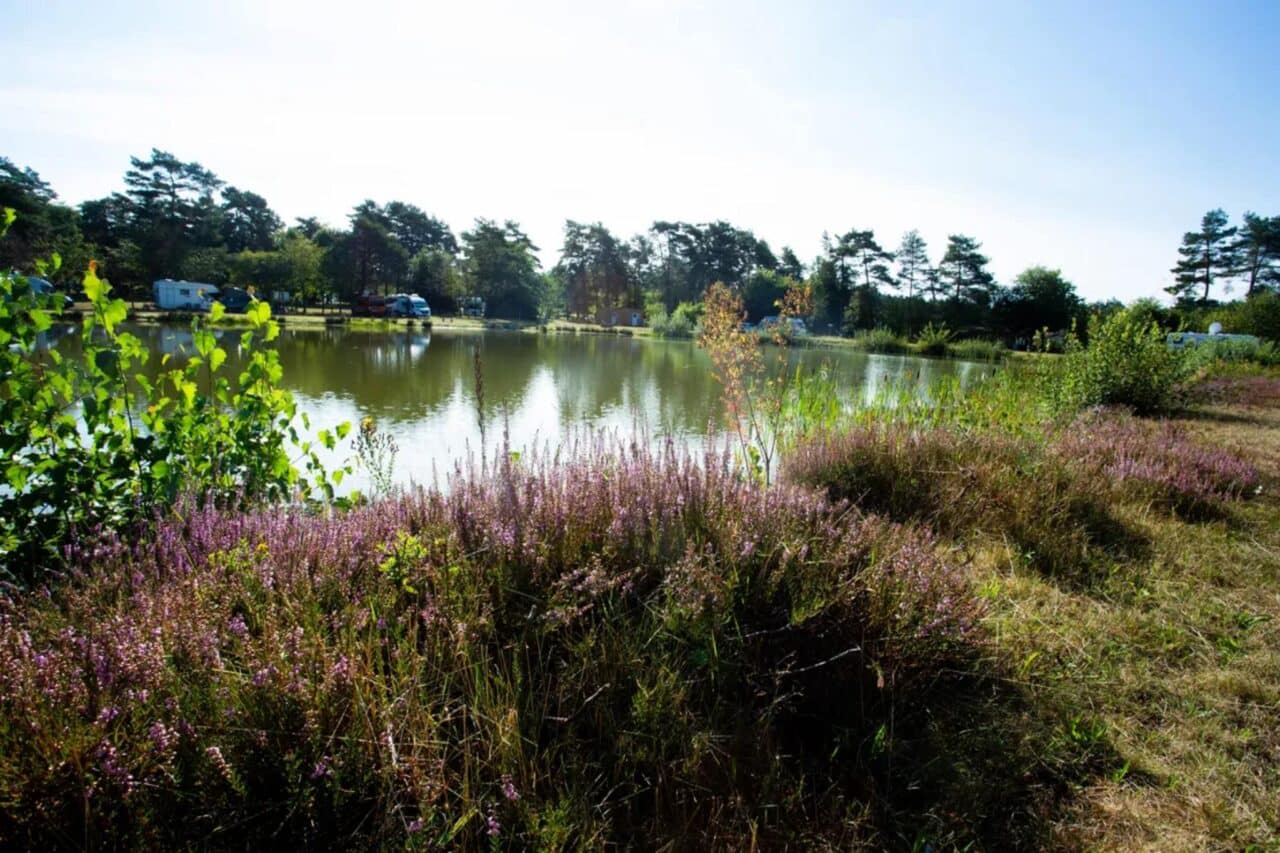 camping lüneburger heide naturcamping