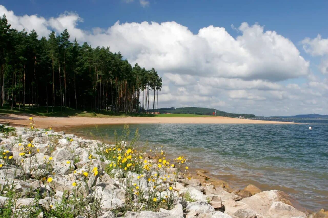 Camping am Brombachsee: Traumurlaub im Fränkischen Seenland 15 naturoase brombachsee
