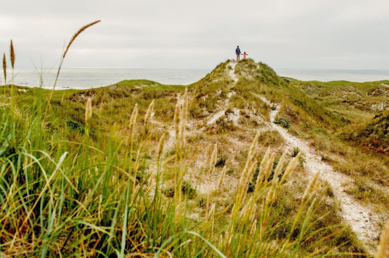 Campingland Dänemark: Der perfekte Urlaub in individuellen, traumhaften Mietunterkünften 1 Dänemark Mietunterkünfte Natur
