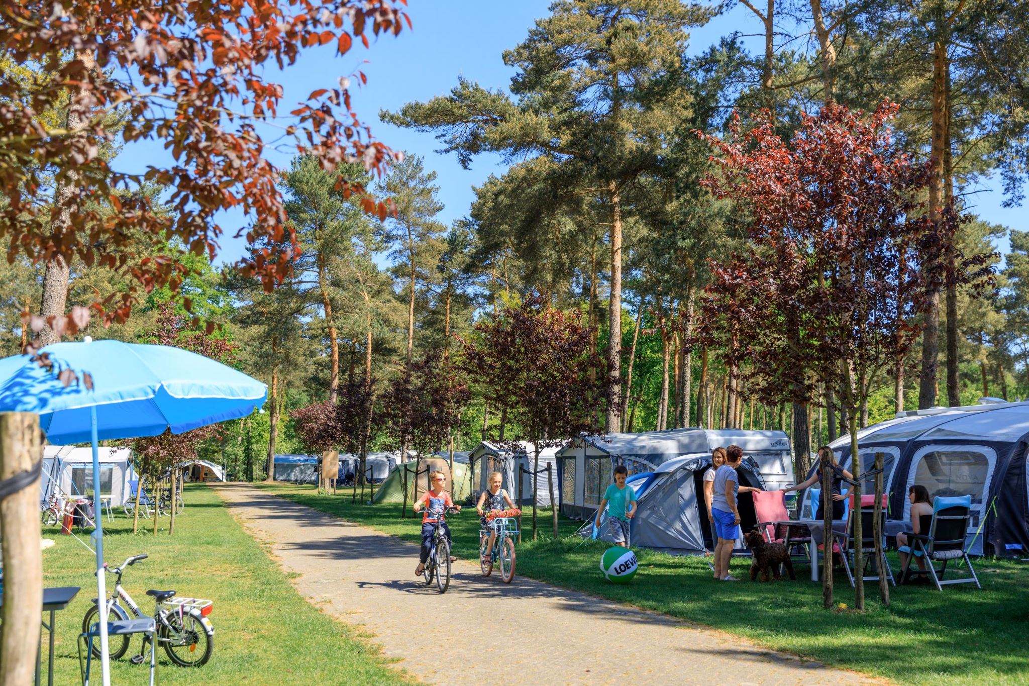 Caravan Salon Düsseldorf 2024: Last Minute Campingplätze in der Nähe der größten Campingmesse