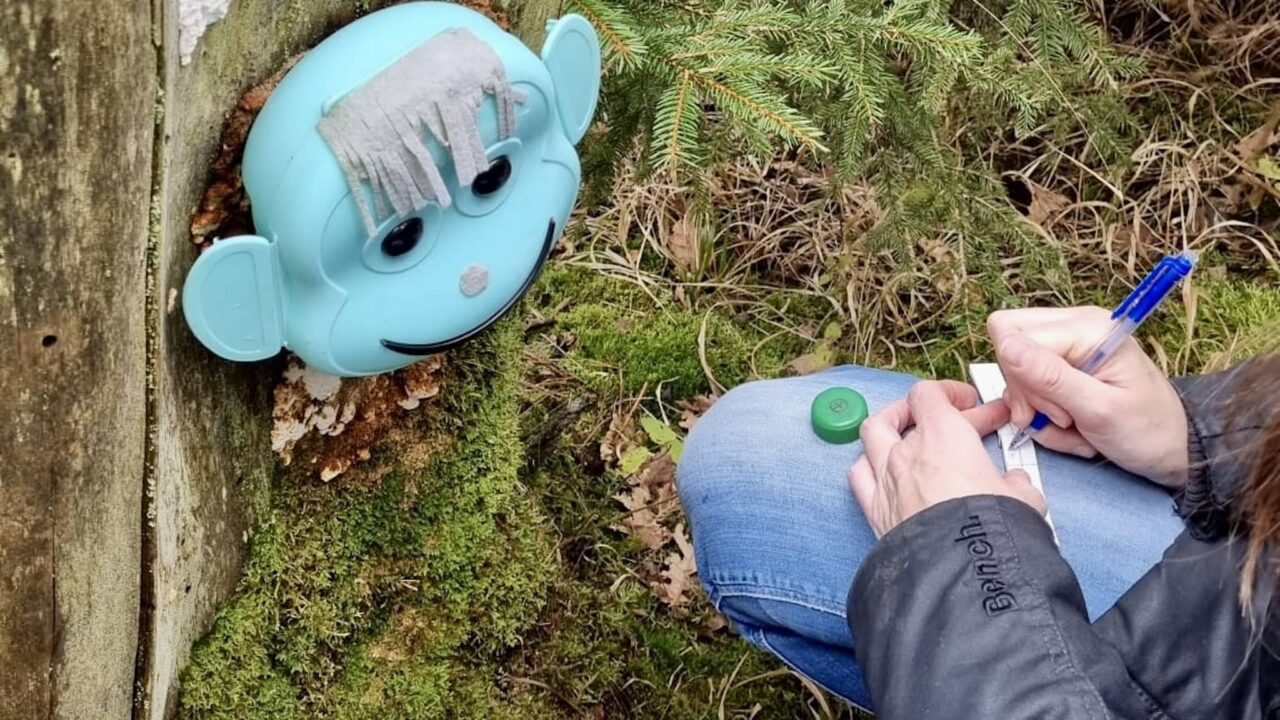 Geocaching als Outdoorspiele mit Kindern beim Camping