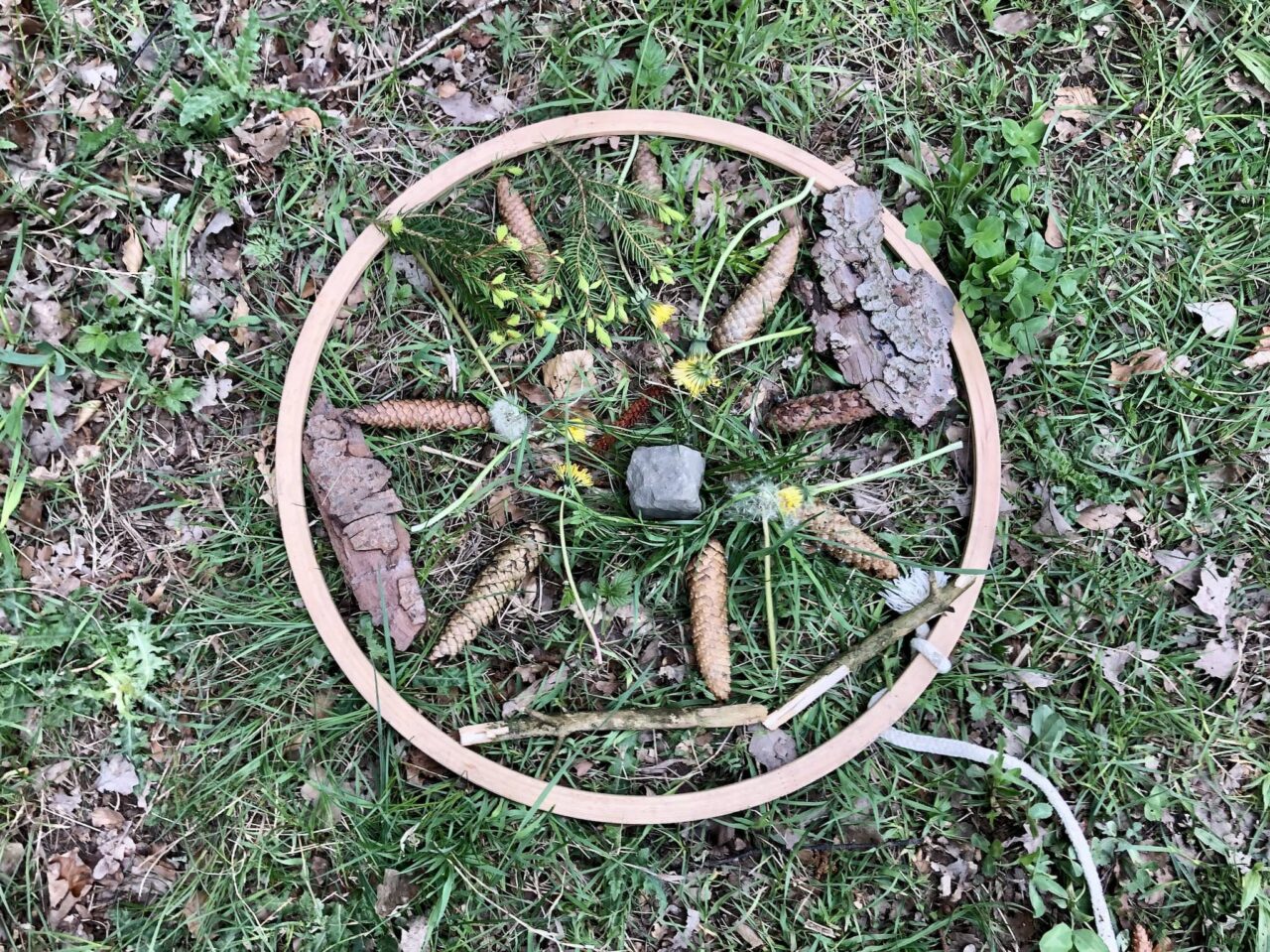 Waldmandala bei einer Waldolympiade als Kinderspiel