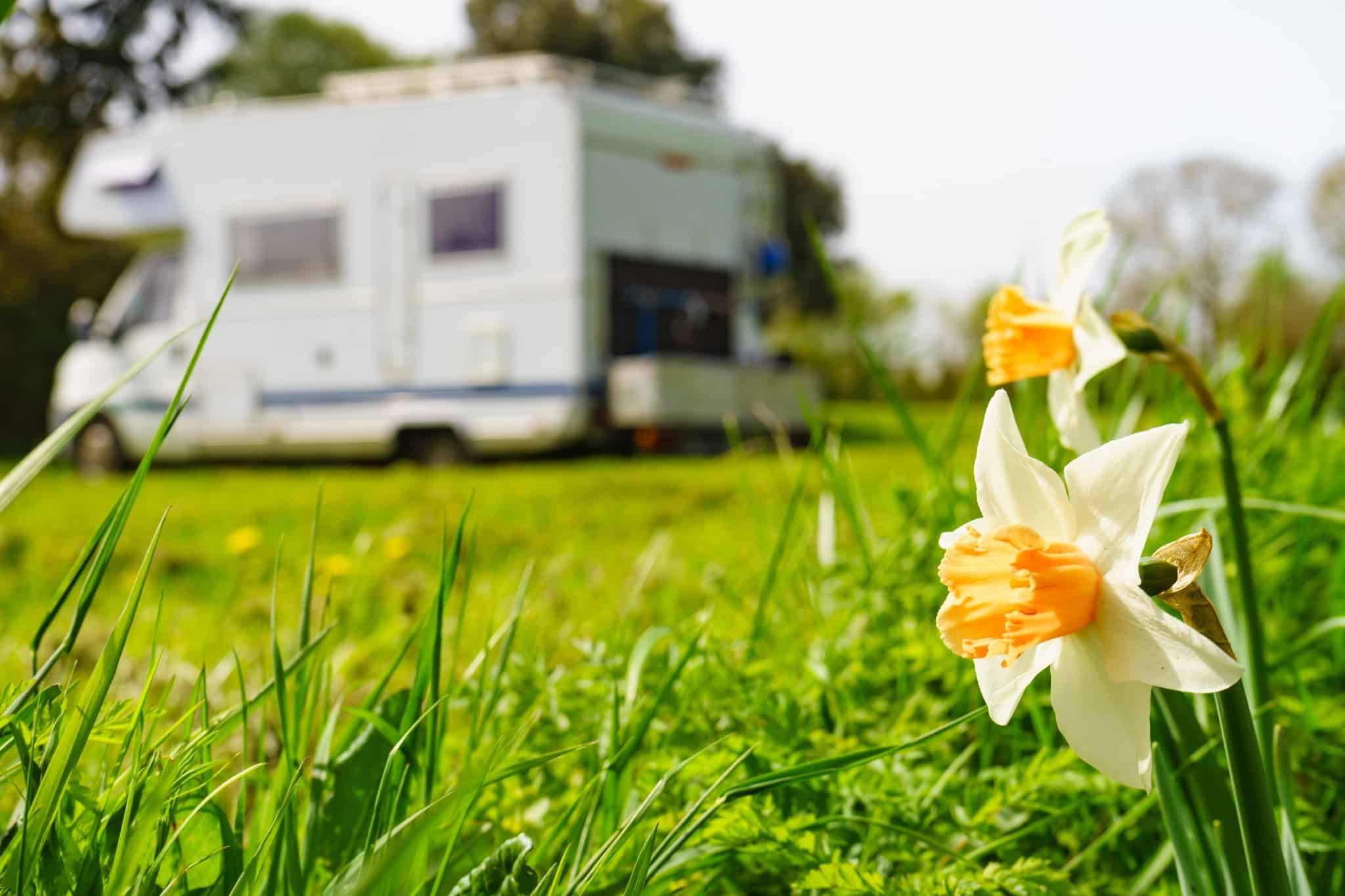 Last Minute Camping-Schnäppchen: letzter Tag beim Frühlingssale von Fritz Berger