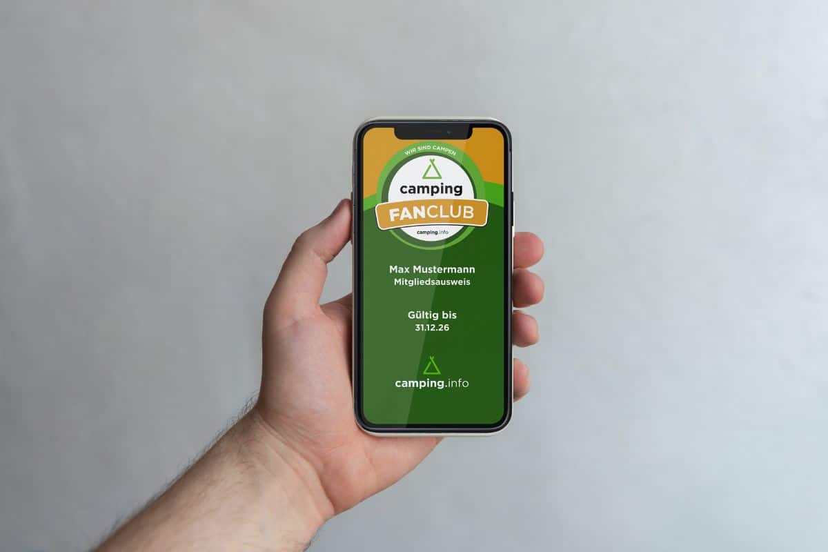 Handy App Ausweis