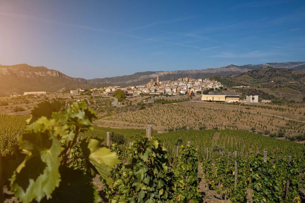 Kulinarik-Tipp für Camper: Die Grand Tour de Catalunya 3 katalonien priorat weinberge