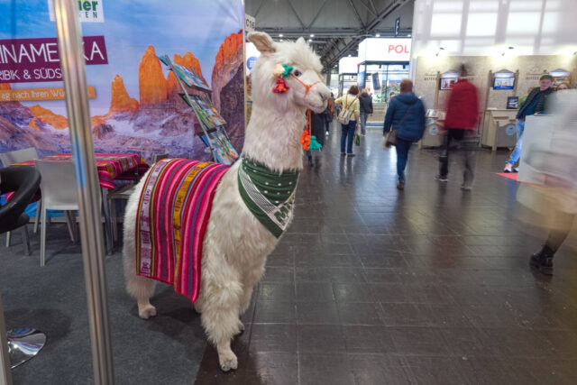 touristik caravaning leipzig campingmesse 2025 P1333937