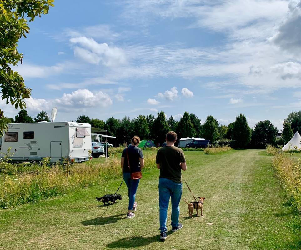 camping t weergors 2649