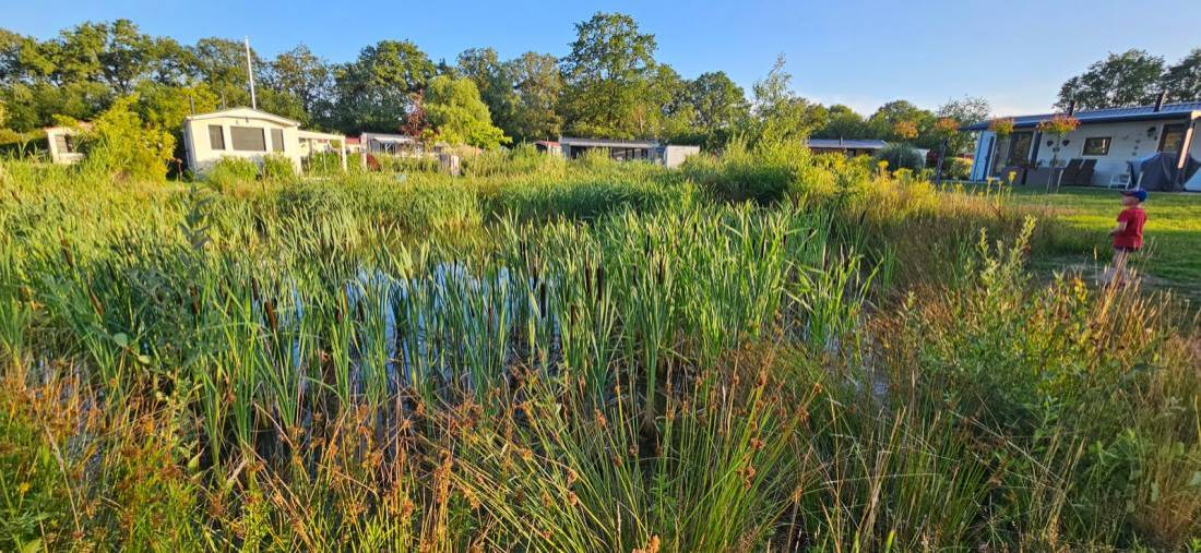 vakantiepark de twee bruggen 1301