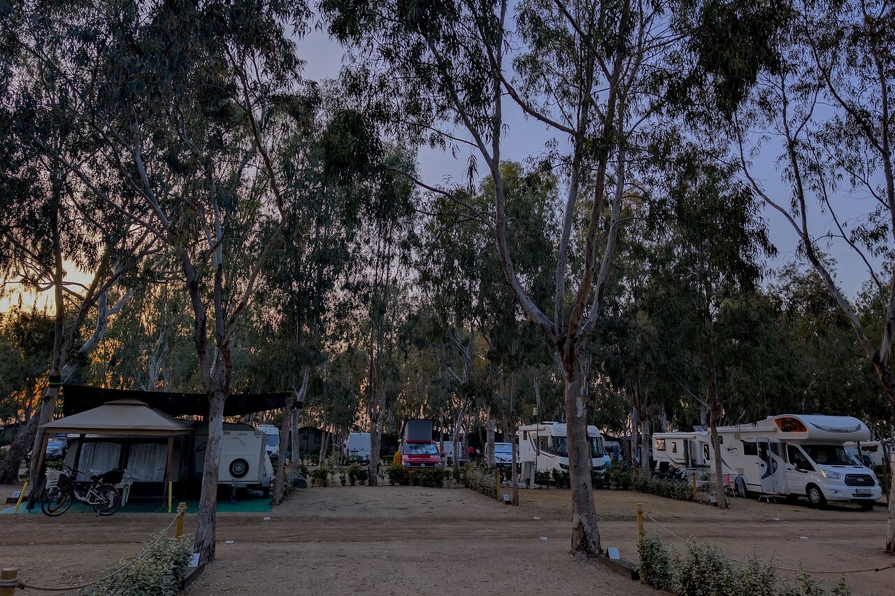 camping eucaliptus ebro delta