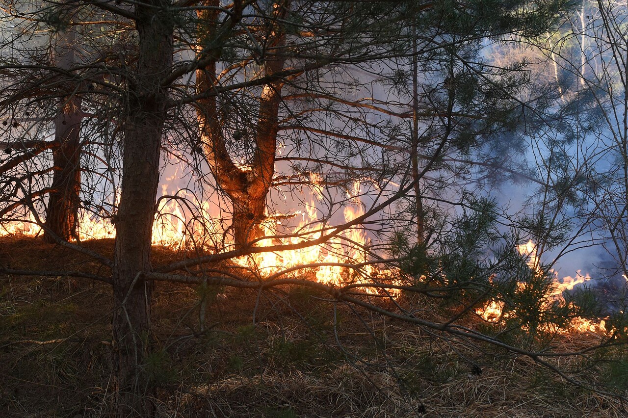 waldbrand spanien 253118488